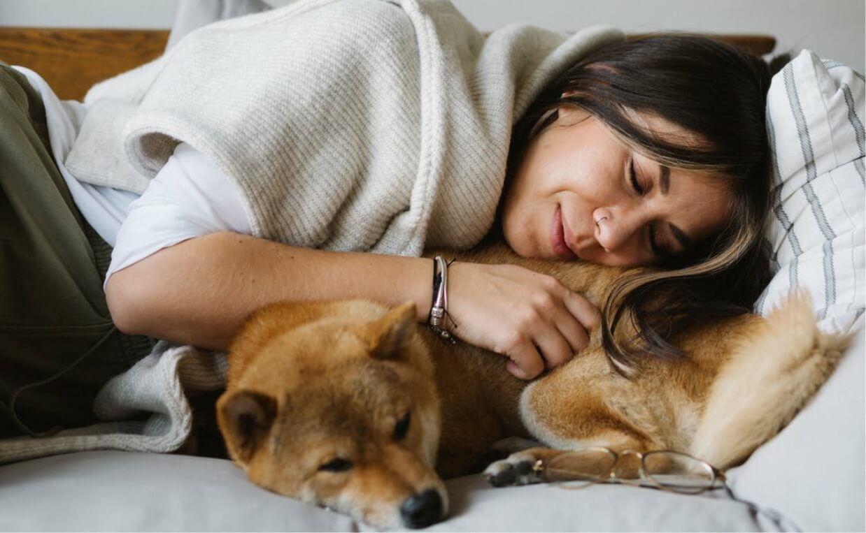 SHIBU INU DOG CUDDLING WITH WOMAN