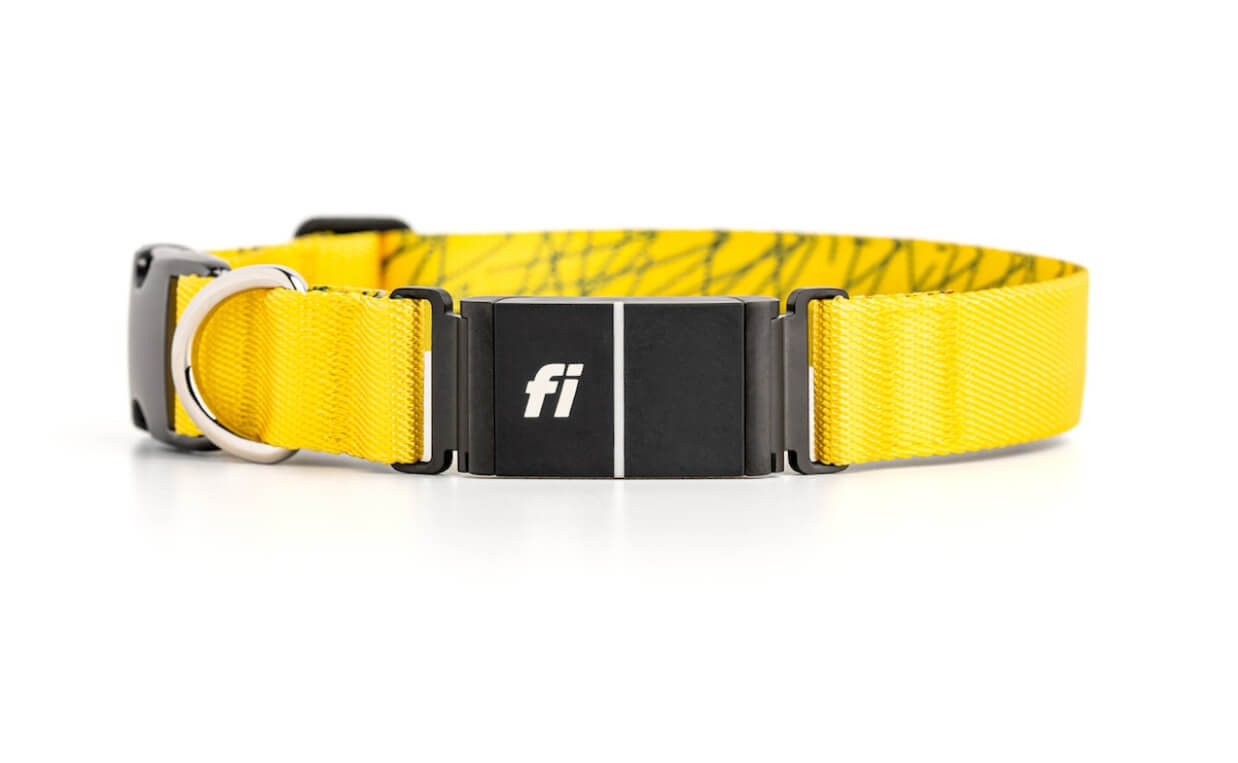 SMART DOG COLLARS - FI