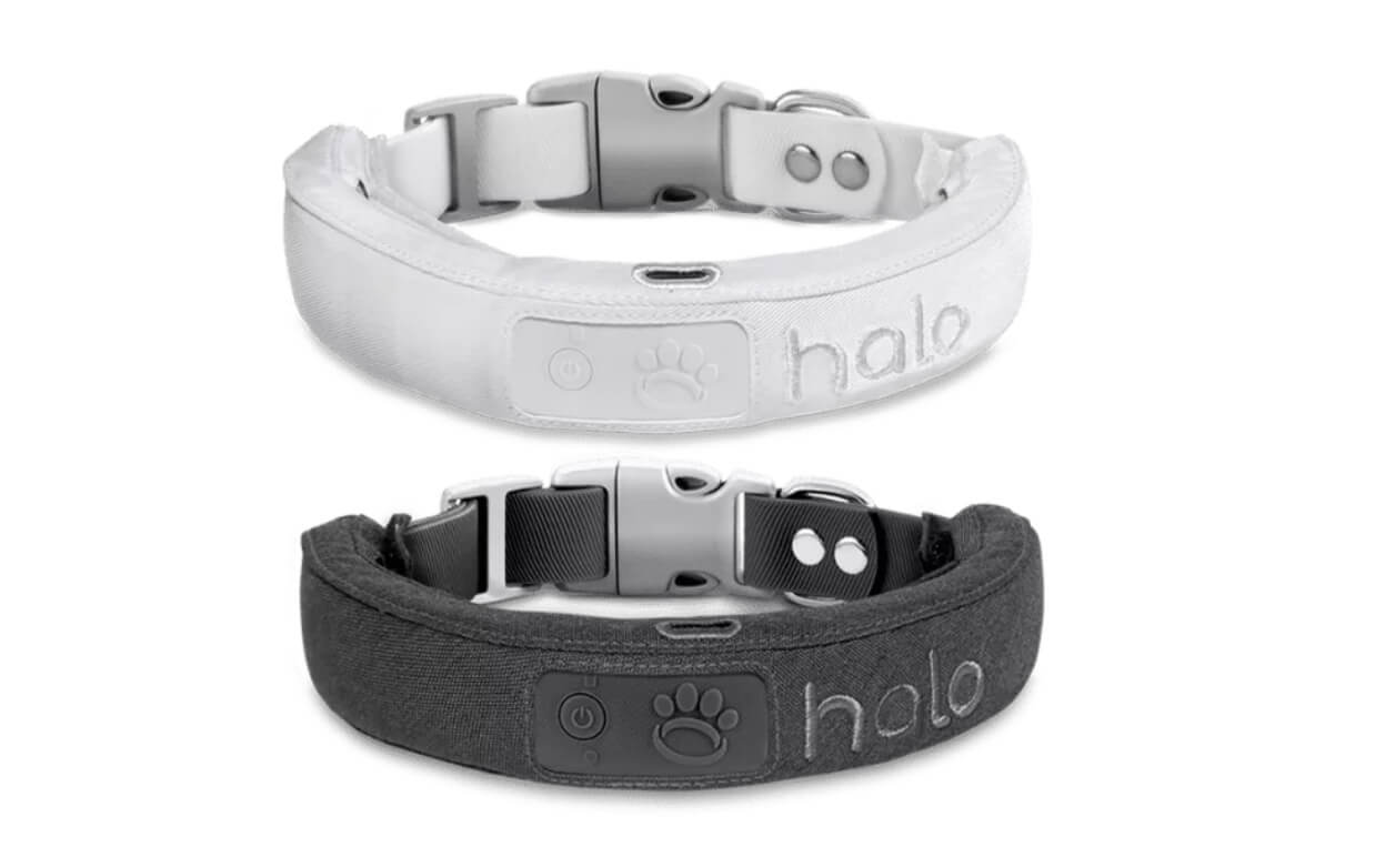 SMART DOG COLLARS - HALO