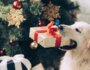 WHAT DOG TOYS NOT TO GET YOUR DOG FOR CHRISTMAS