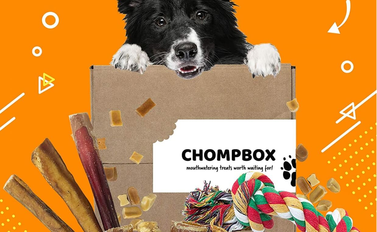 Dog Subscription Boxes ChompBox
