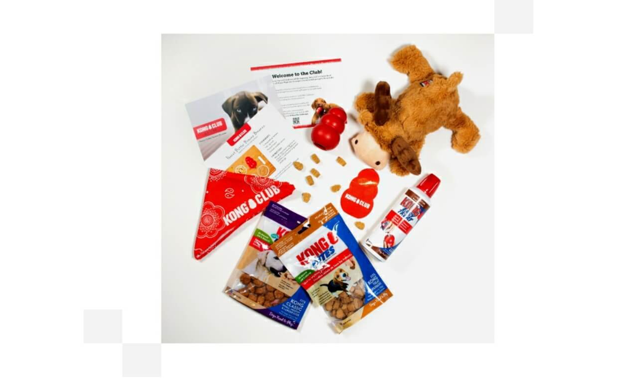 DOG SUBSCRIPTION BOXES KONG CLUB