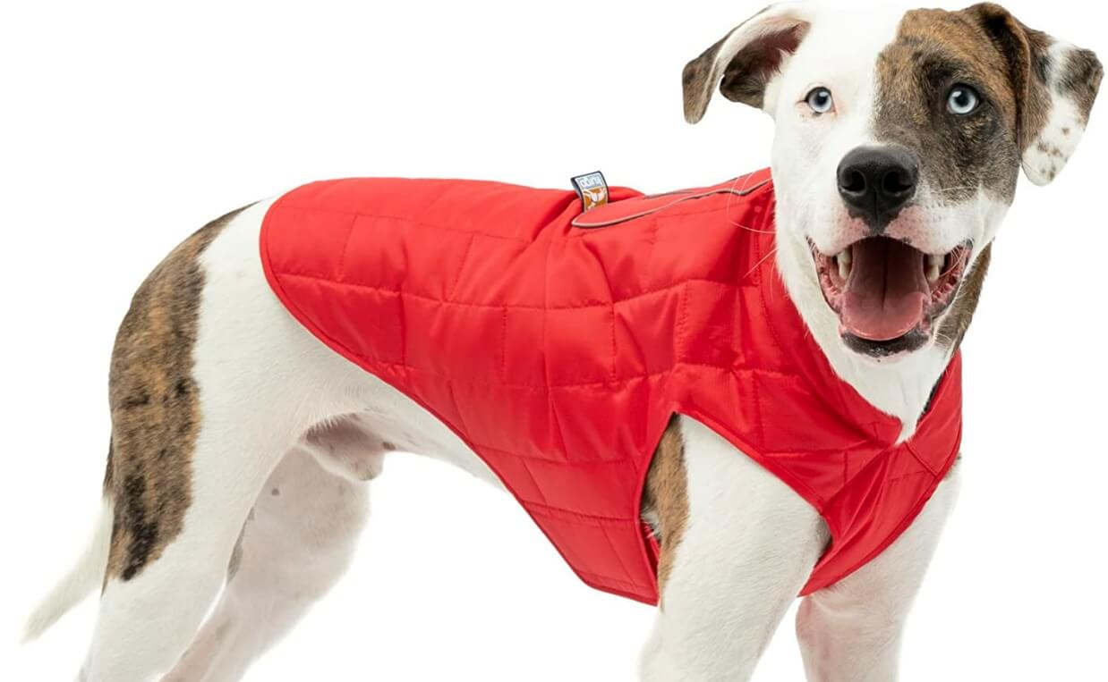 Kurgo Loft Dog Jacket