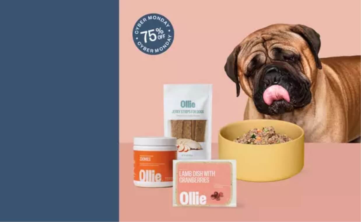 Dog Subscription Boxes Ollie