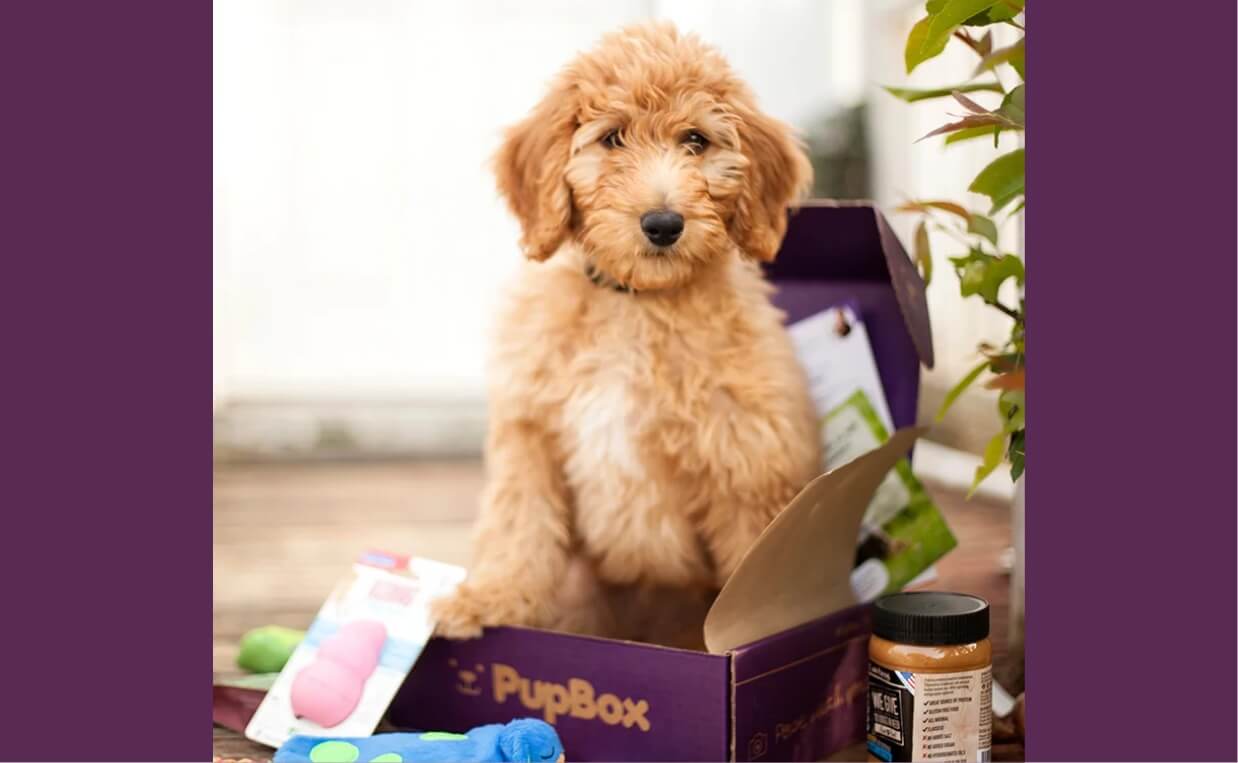 Dog Subscription Boxes PupBox
