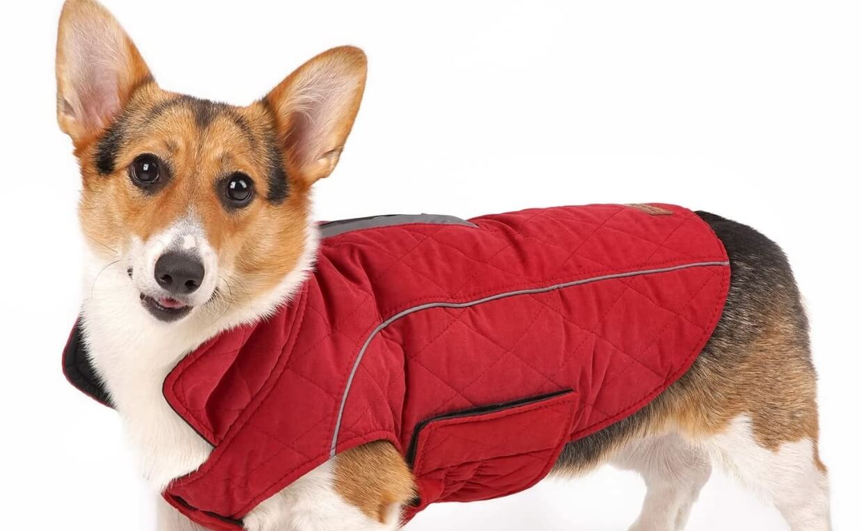 cropped - ThinkPet Dog Coat
