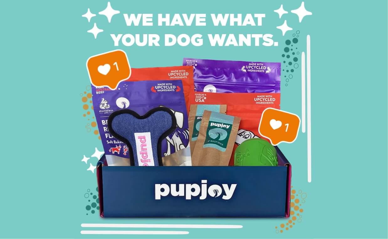 dog subscription boxes PupJoy