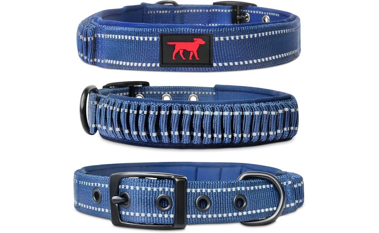 Tuff Pupper Flat Buckle Dog Collar