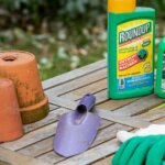 Is RoundUp Weedkiller Safe for Dogs?