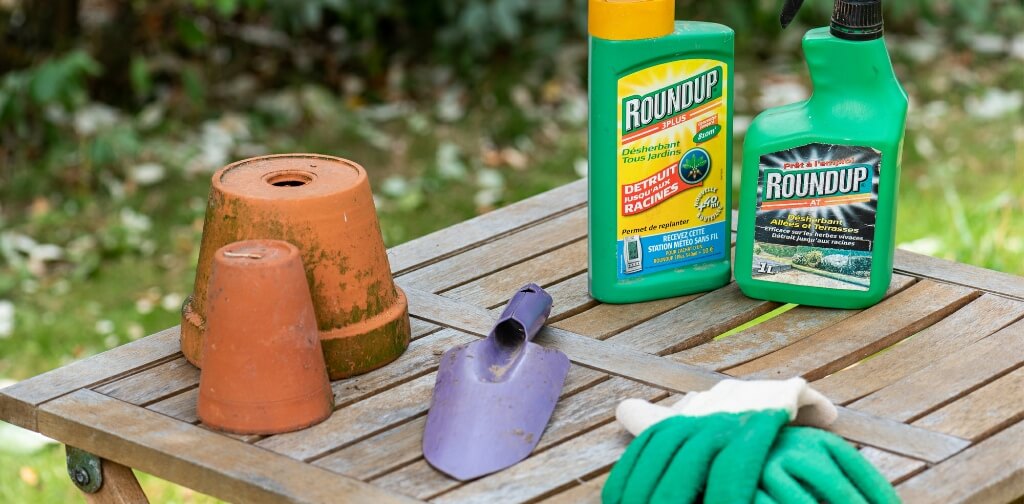 Is Weed Killer Bad For Dogs