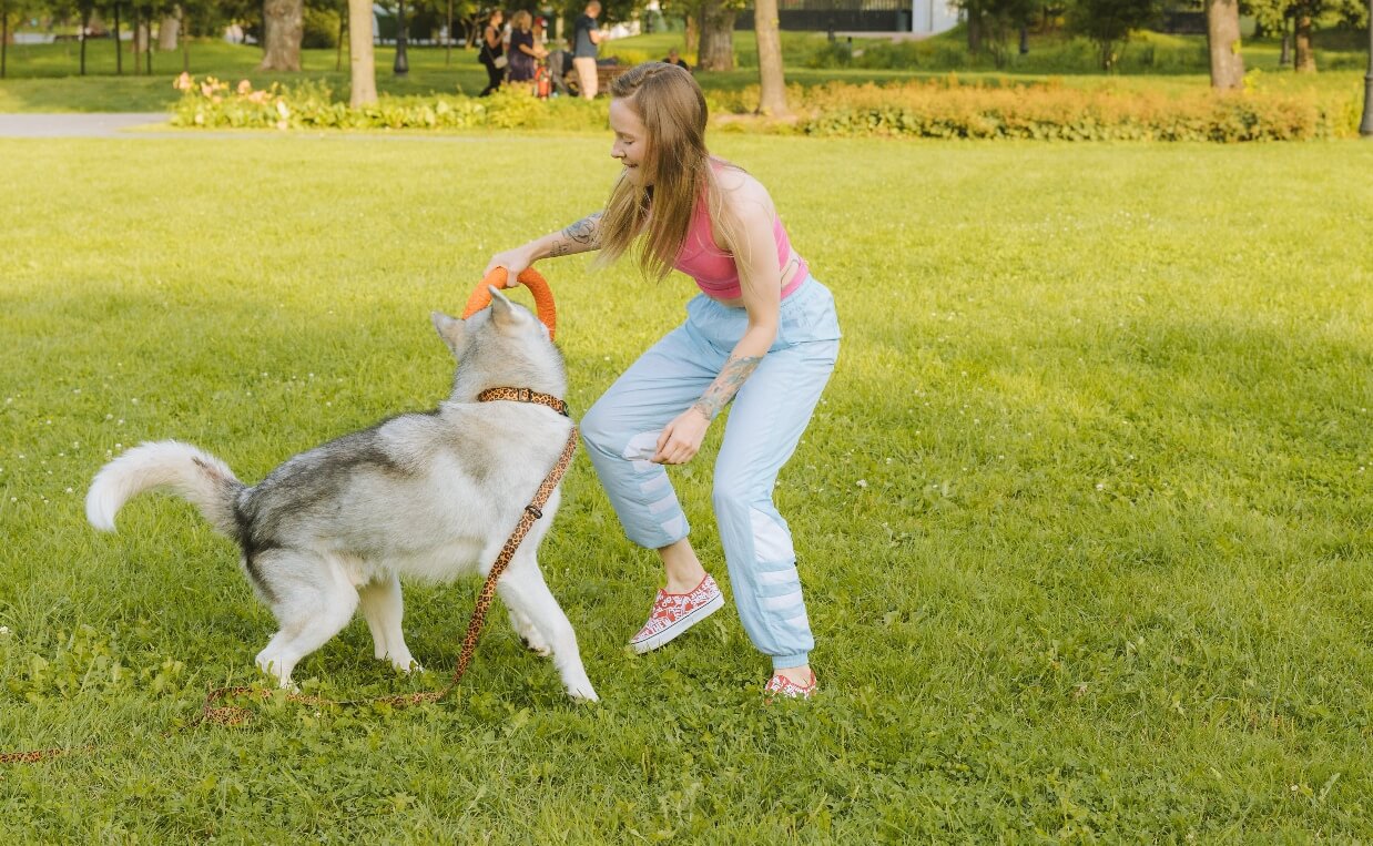 BUSY DOGS ENERGY - WOMAN PLAYING WITH HUSKY DOG