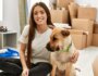 10 Tips to Make Moving with Dogs Easier