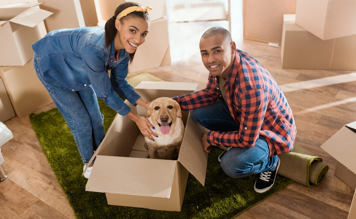 MOVING WITH DOGS - couple packing dog in box