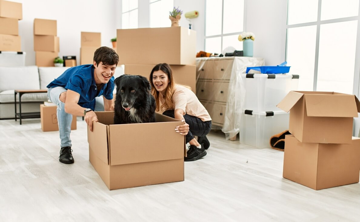 MOVING WITH DOGS - couple playing with their black dog in a box while packing to move