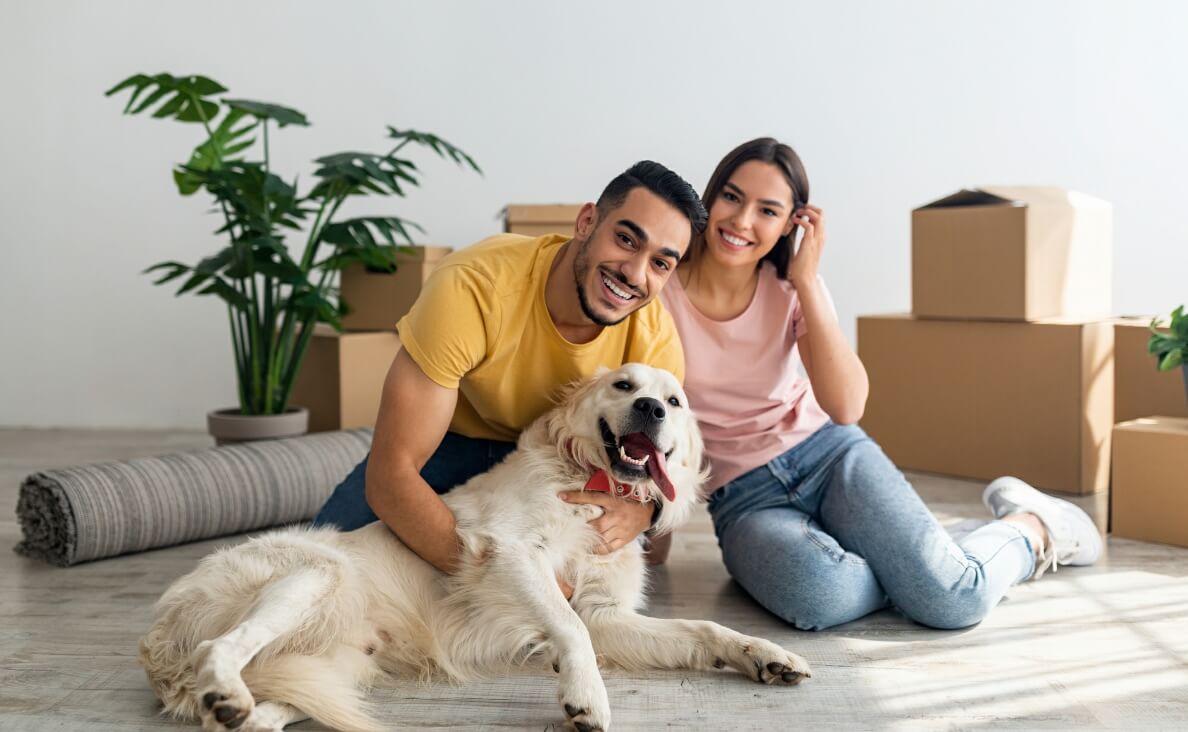 MOVING WITH DOGS - couple with yellow lab in new house with boxes