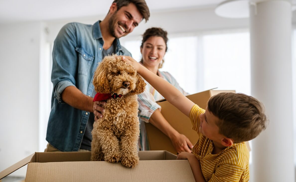 MOVING WITH DOGS - family with young boy and brown poodle moving