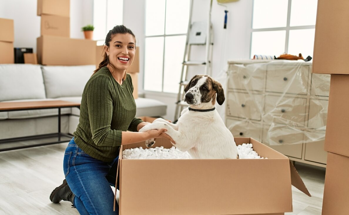 MOVING WITH DOGS - woman with dog in packing peanuts in box