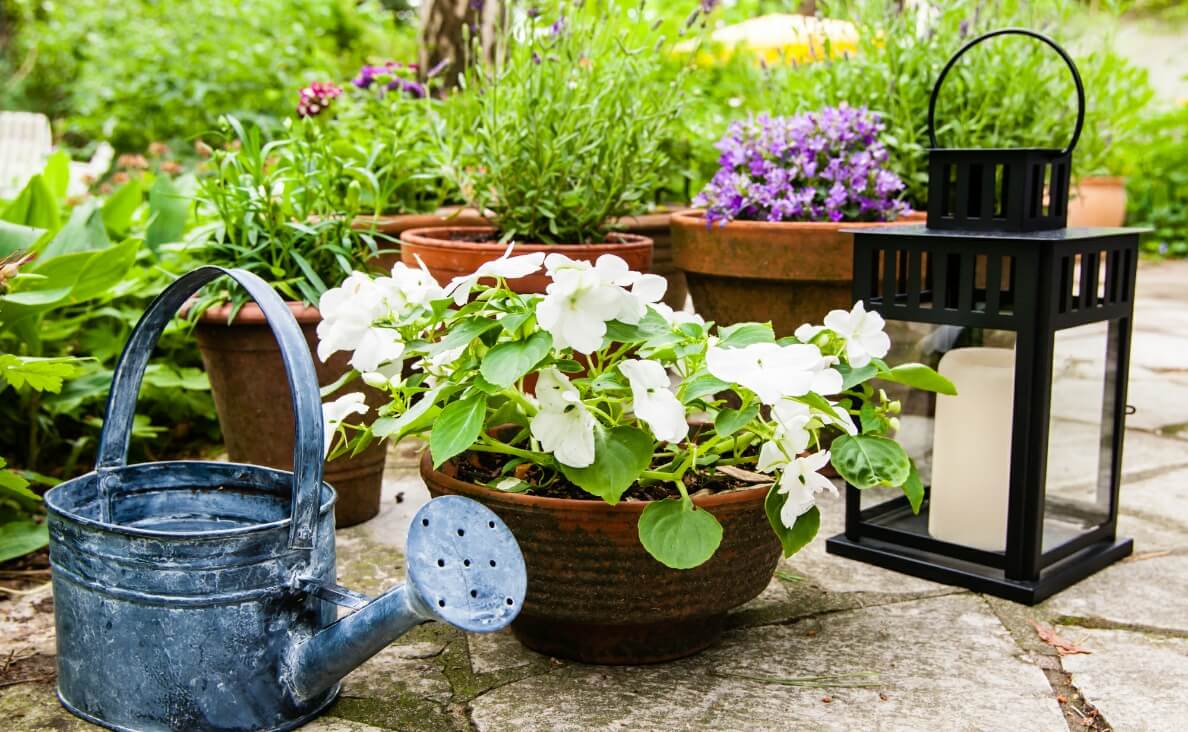 REMEMBER YOUR BELOVED DOG - creating a garden with flowers