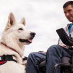 How Service Dogs Reduce PTSD Symptoms: Unleashing the Healing Bond