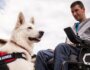 How Service Dogs Reduce PTSD Symptoms: Unleashing the Healing Bond