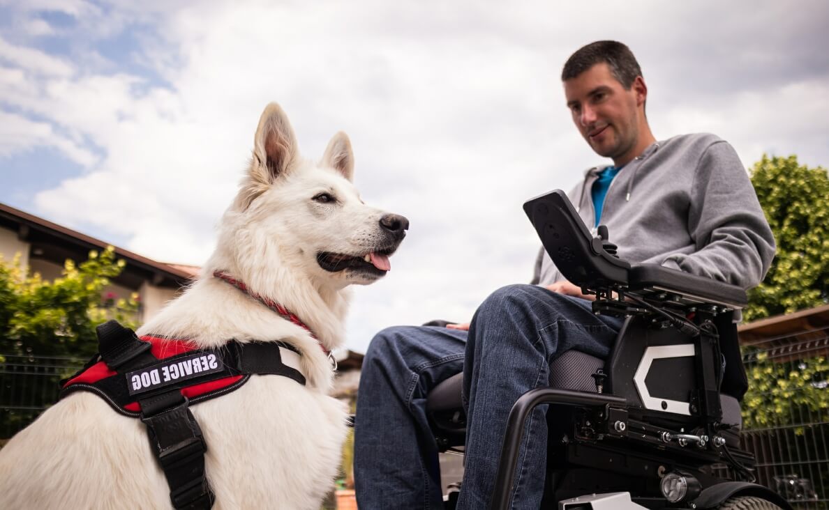 How Service Dogs Reduce PTSD Symptoms: Unleashing the Healing Bond