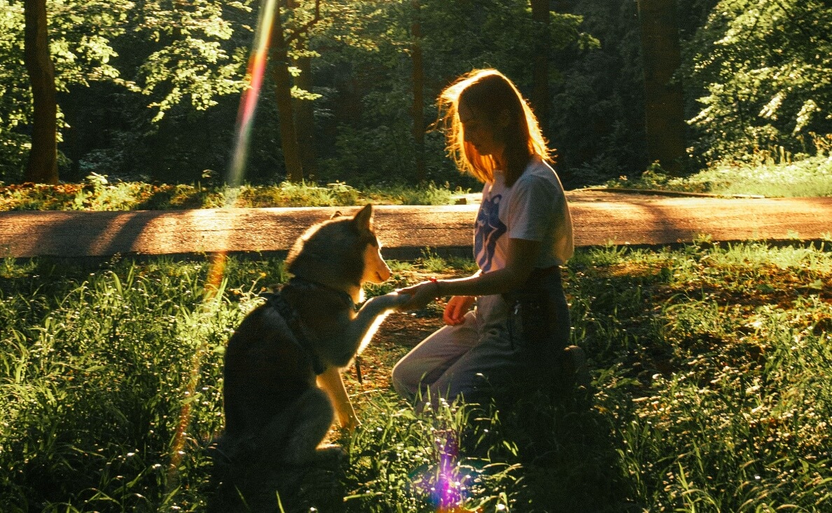 WHAT COLORS CAN DOGS SEE - WOMAN WITH DOG IN WOODS WITH PRISM SUNBEAM