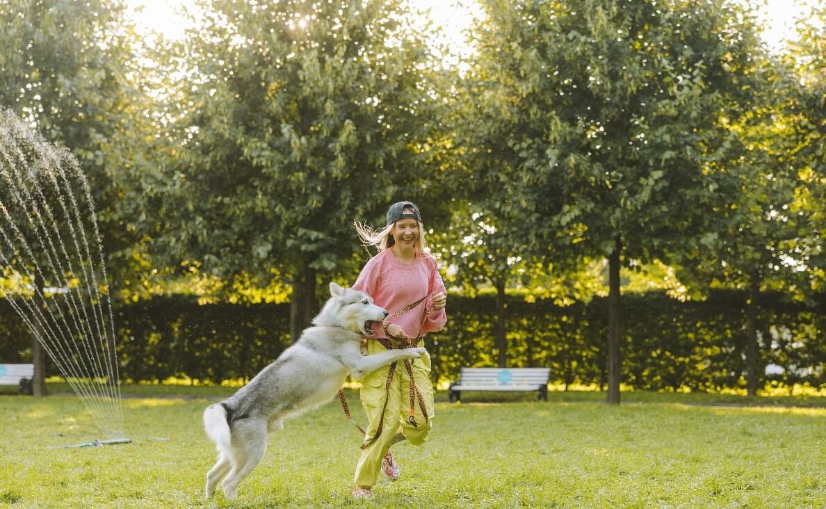 ENVIRONMENTAL ENRICHMENT - husky playing with woman in sprinkler