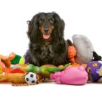 Unleashing Joy: The Best Dog Toys of 2023