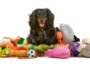 Unleashing Joy: The Best Dog Toys of 2023