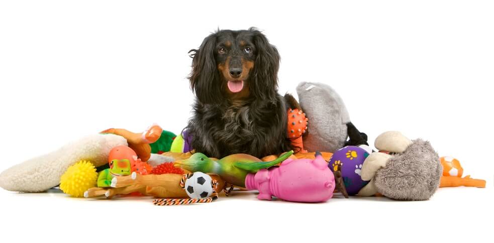 https://www.caninecampus.us/wp-content/uploads/2023/10/Blog-Post-Feature-Image-BEST-DOG-TOYS.jpg