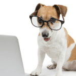 Top 8 Dog Technology Trends Totally Worth Your Money