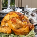 10 Holiday Foods That Can Give Your Dog an Upset Stomach