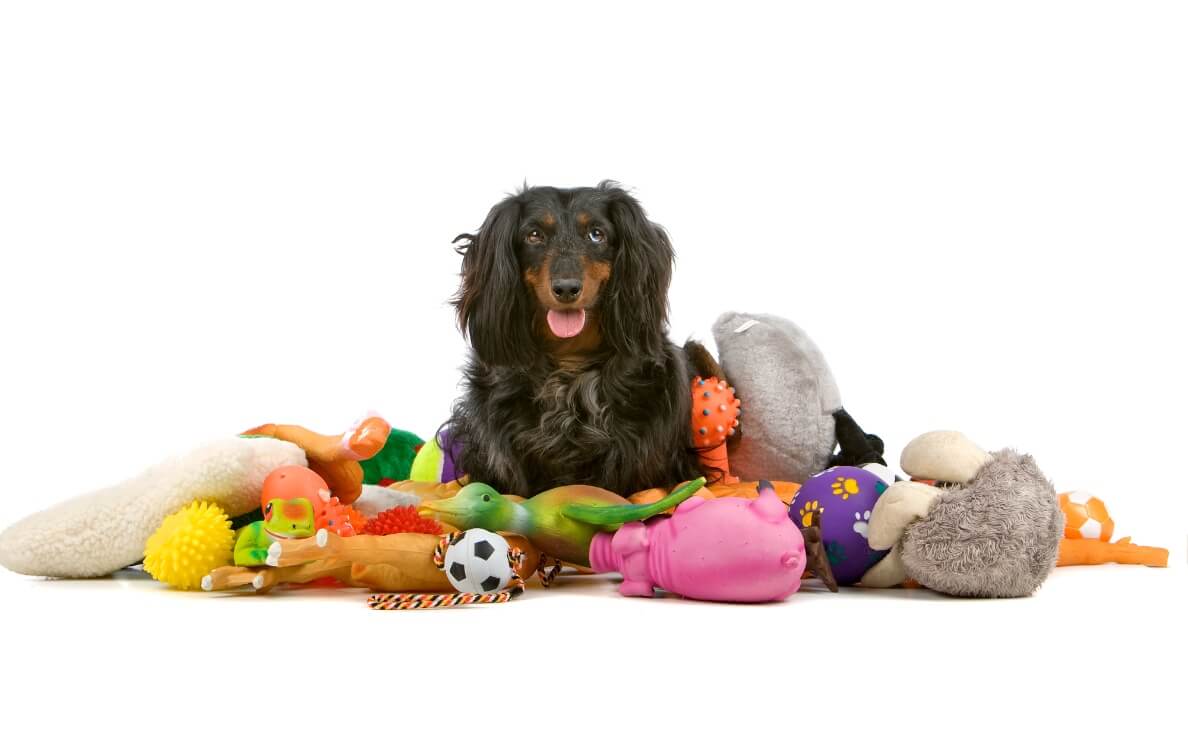  BEST DOG TOYS