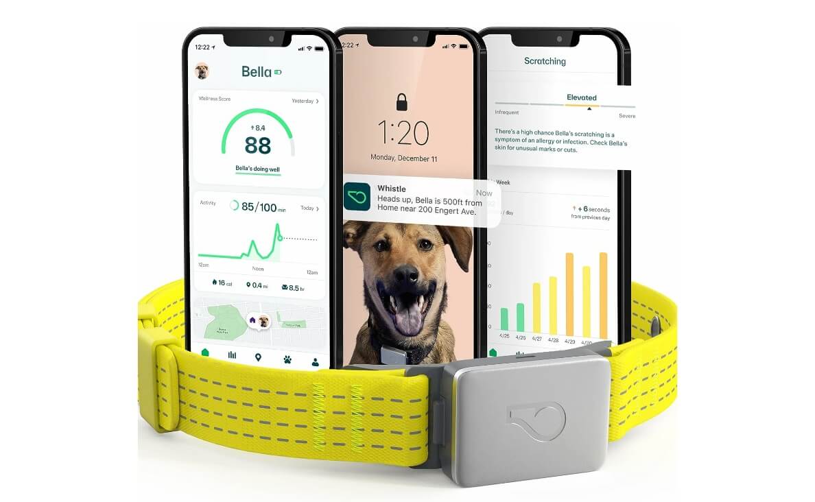 Dog Fitness Tracker with GPS