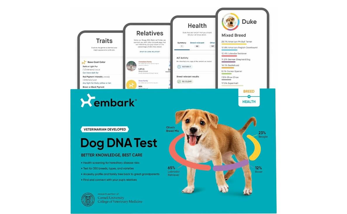 Embark Dog DNA Test