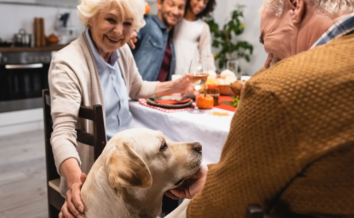 HOLIDAY FOODS UPSET STOMACH - family holiday meal with dog