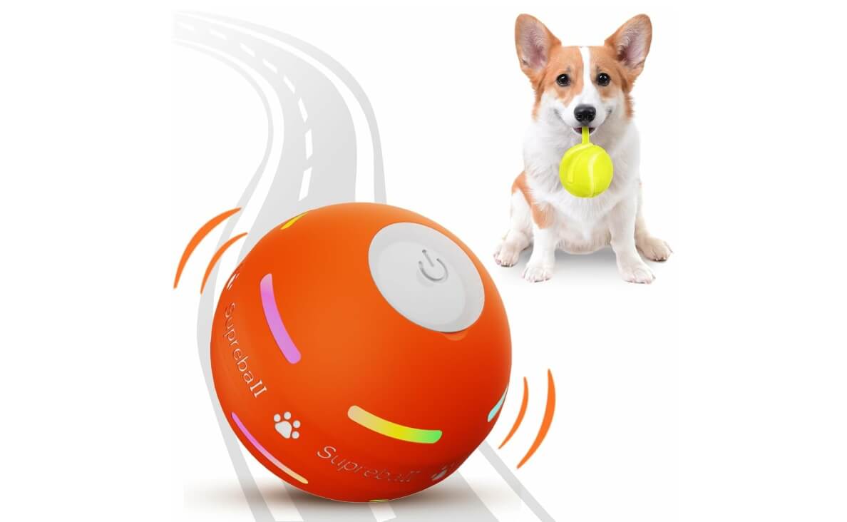 Interactive Dog Toy