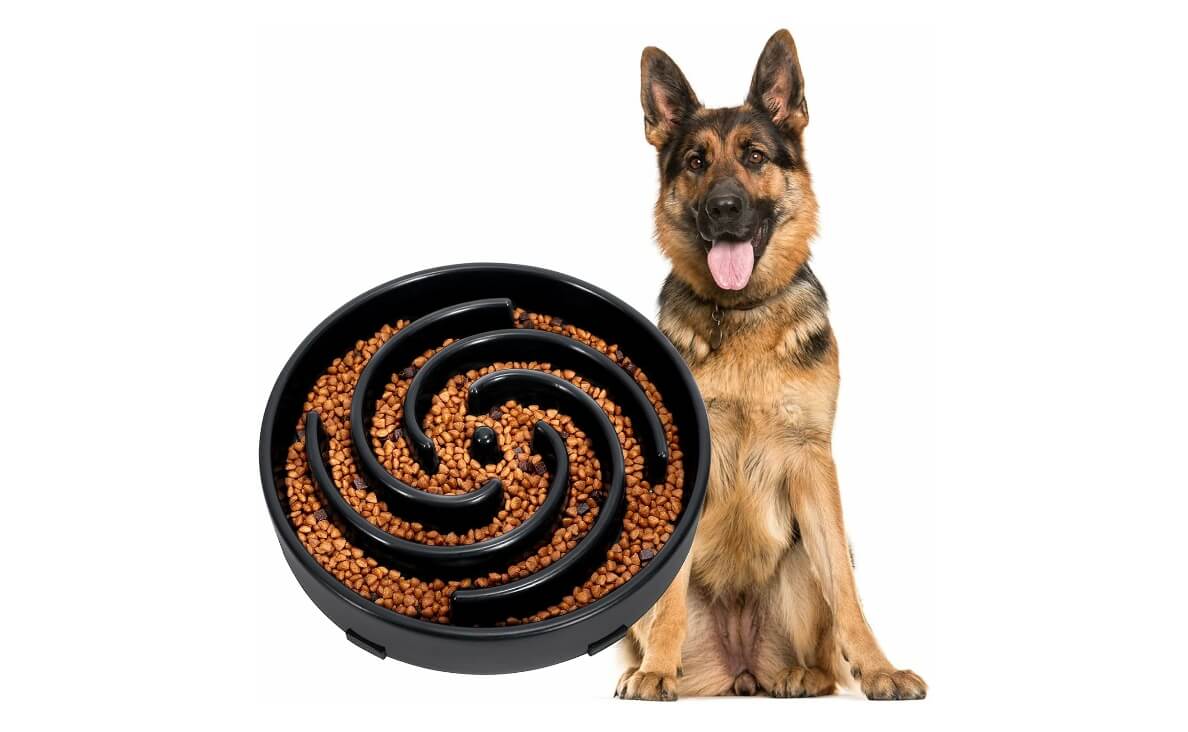 JASGOOD Slow Feeder Dog Bowl