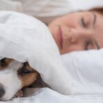 Should You Let Your Dog Sleep with You?