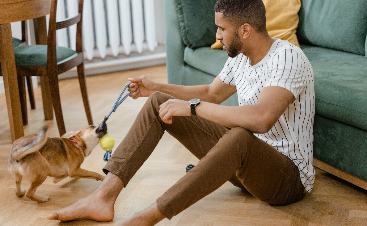 man playing with dog with a ball and rope toy