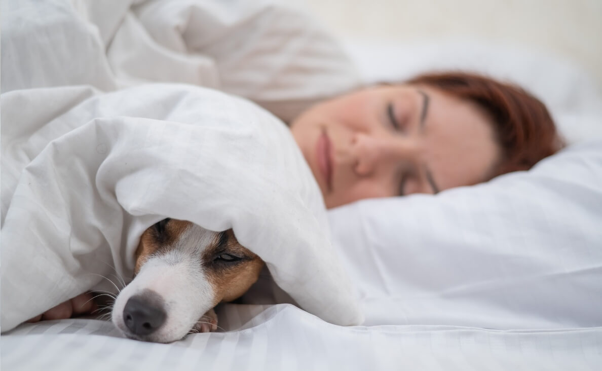 Should You Let Your Dog Sleep with You?