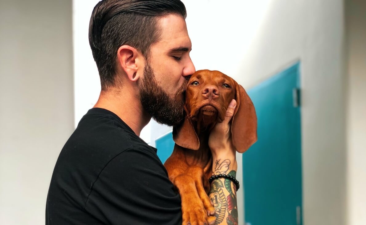 5 LOVE LANGUAGES - man kissing vizsla dog