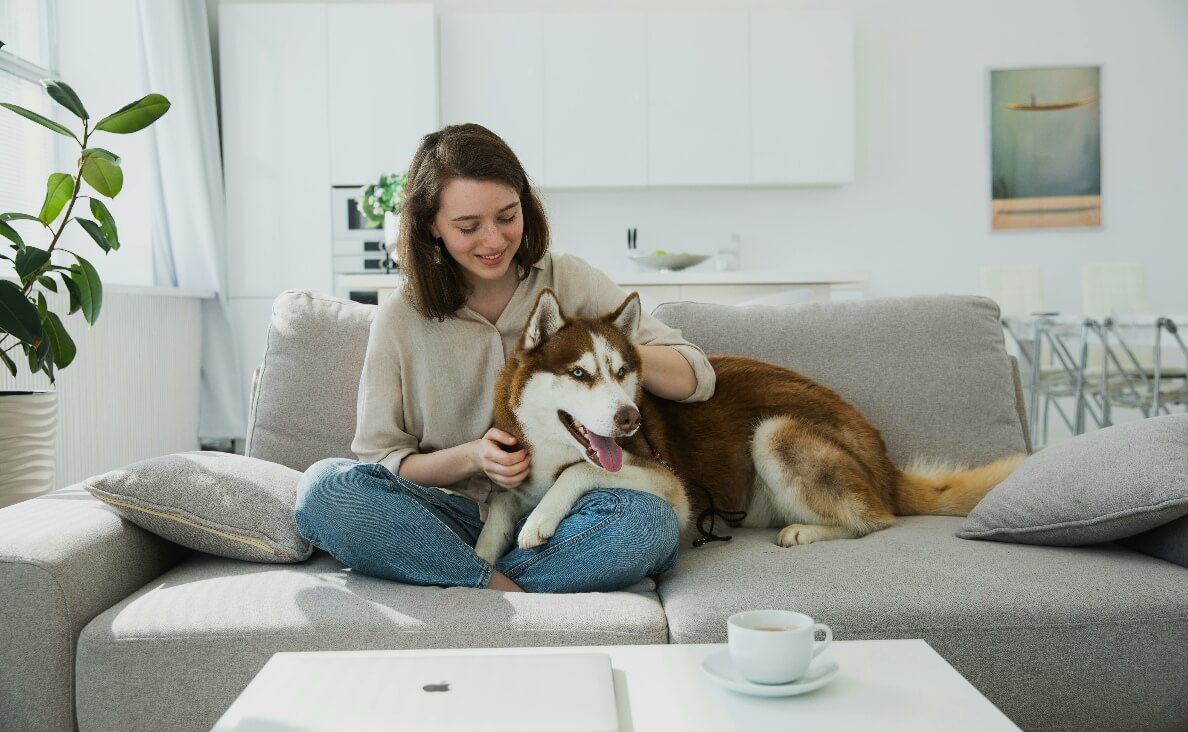 CLEAN HOUSE WITH DOGS - husky and woman on sofa