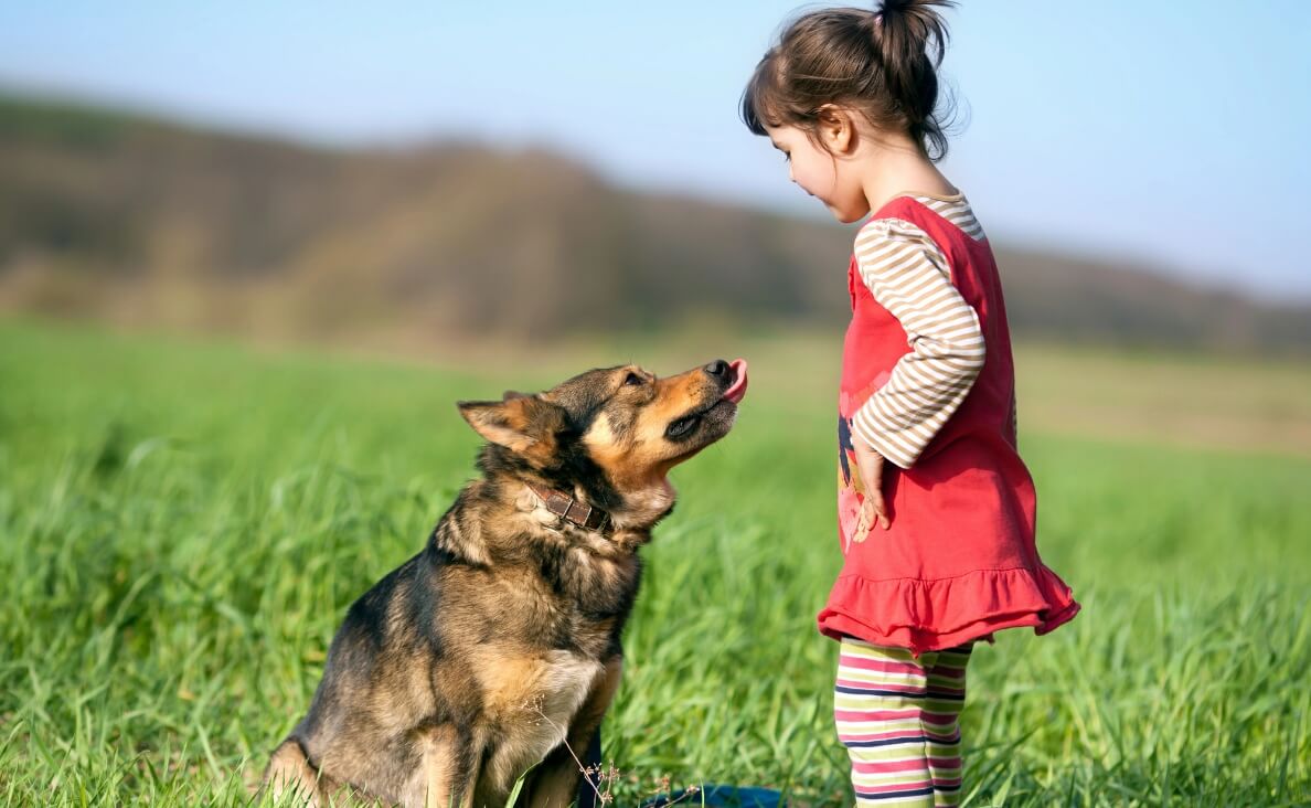 girl meeting mid-sized german shepherd dog