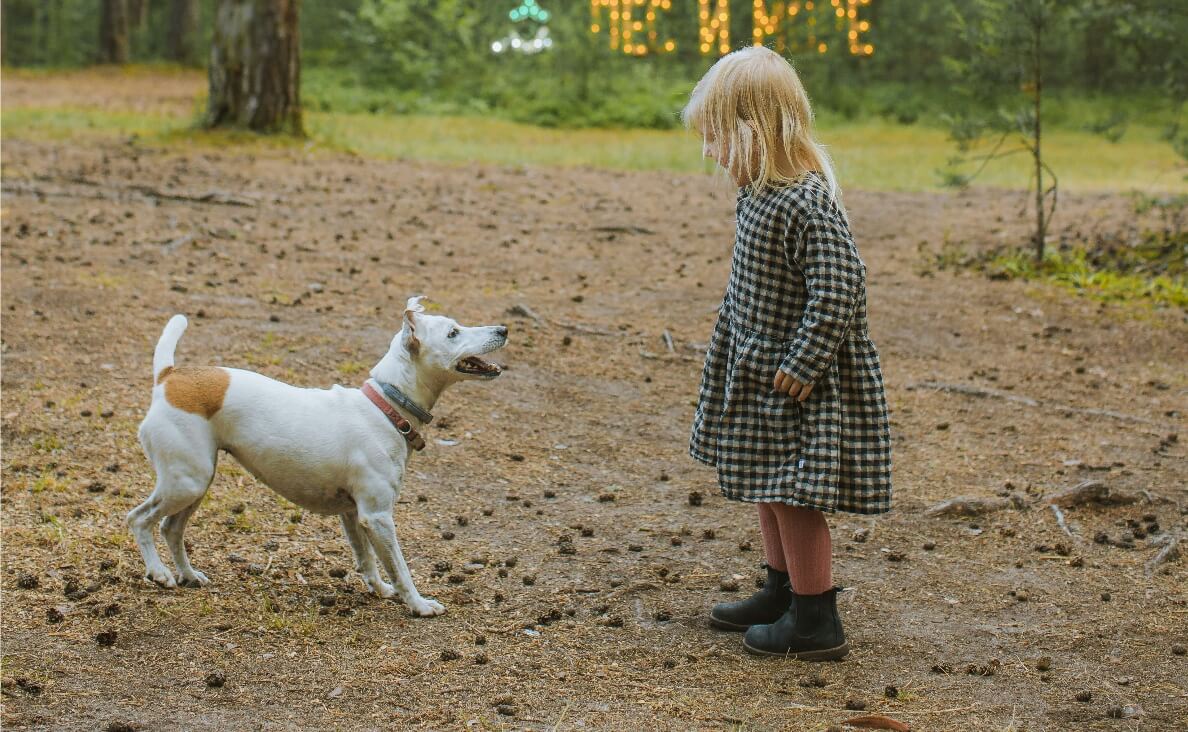 girl meeting white and tan dog