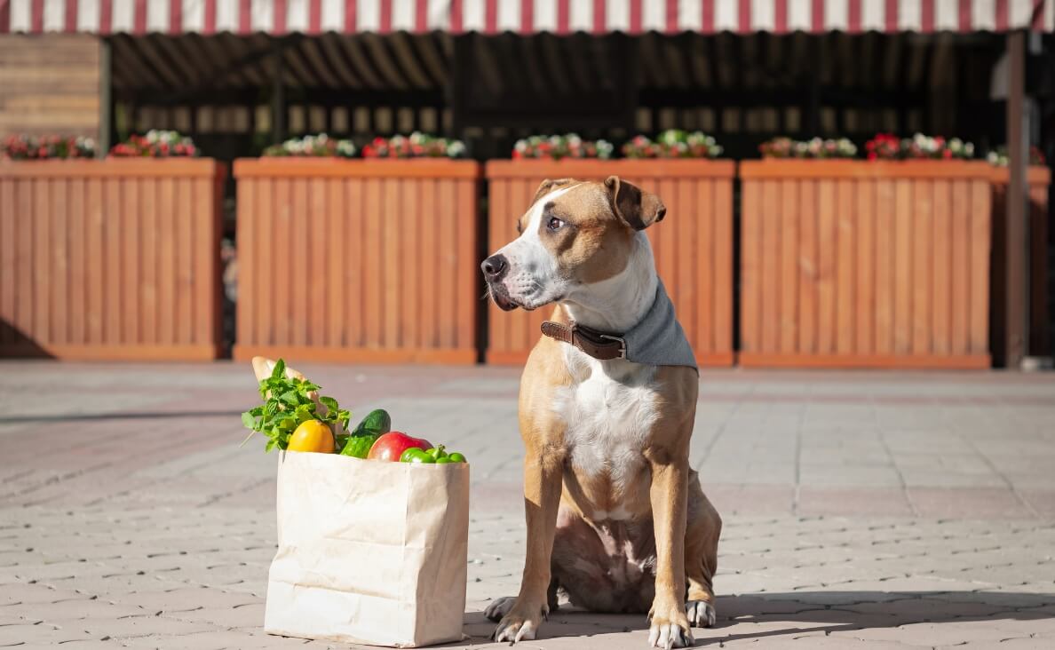 Household Chores - dog groceries