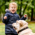 How to Protect Your Child From an Unleashed Dog
