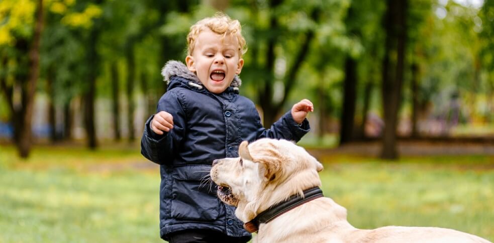 How to Protect Your Child From an Unleashed Dog - Canine Campus Dog Daycare  & Boarding