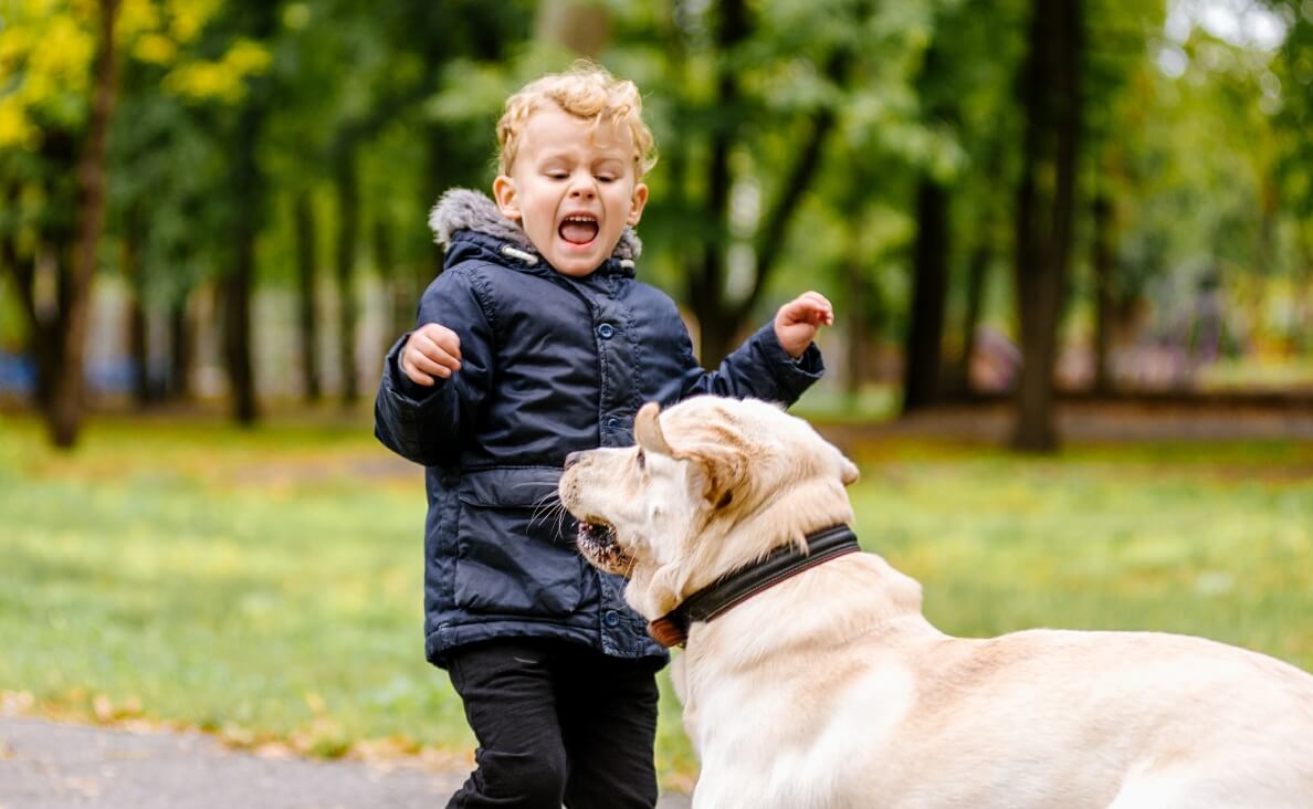How to Protect Your Child From an Unleashed Dog