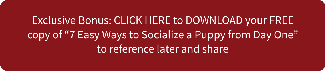 Puppy Socialization Checklist
